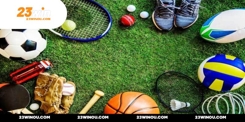 Các danh mục đều được sắp xếp khoa học theo menu 