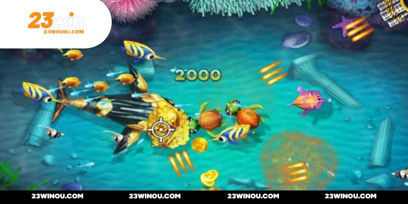 Dồn sức lực để tấn công cùng lúc nhiều sinh vật biển theo đàn