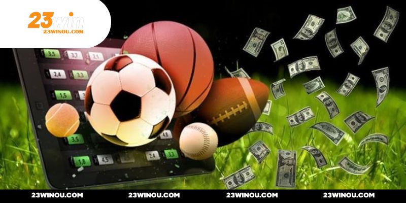 Thiên đường cá cược thể thao hoàn hảo trực tuyến